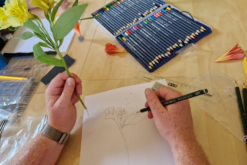 botanisch tekenen2 angelique krijnen