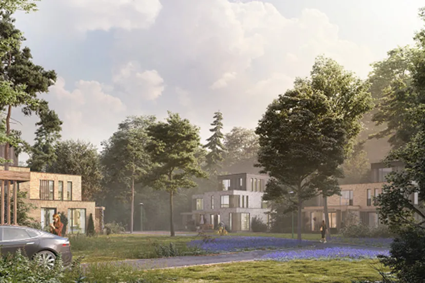 bouwplannen imboslaan dieren gemeente rheden