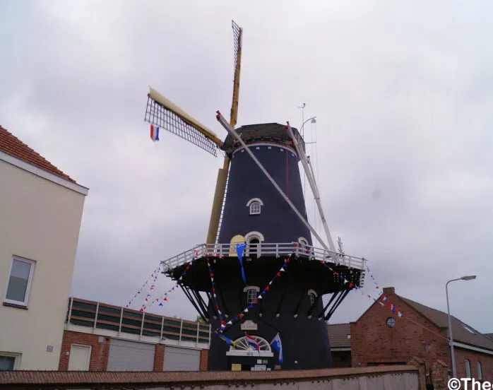 bpmwg8srfhnh9tavysej0ak06 231945