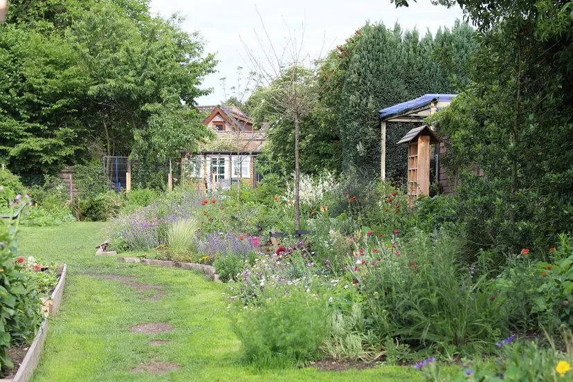 buurttuin zwarteweg rheden