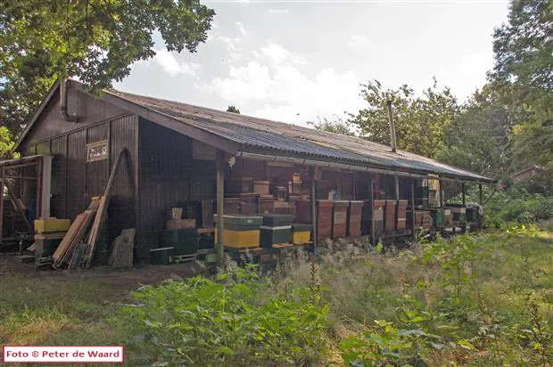 bvng86ozb1fve4ombdyn4a6vk dieren imkerij de immenhof 3aug2013 6