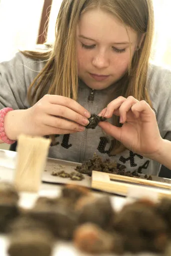 bzcodrrbm2qebd5i5hoj7kuac 185576