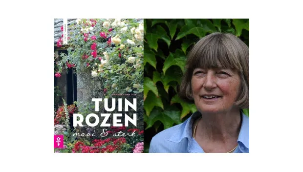 c09orxu97944iuf52jw097bd1 tuinrozen