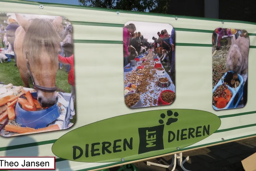 callunaplein 4 10 15 001