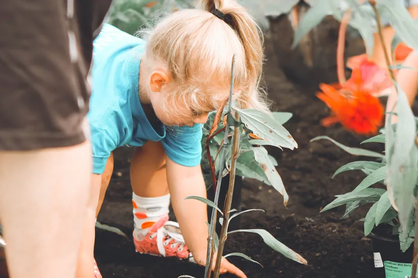 campagne ik buurt mee gemeente rheden1