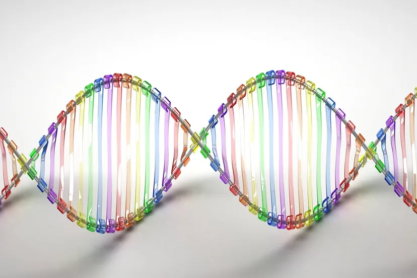 cc by caroline davis2010 via fotercom