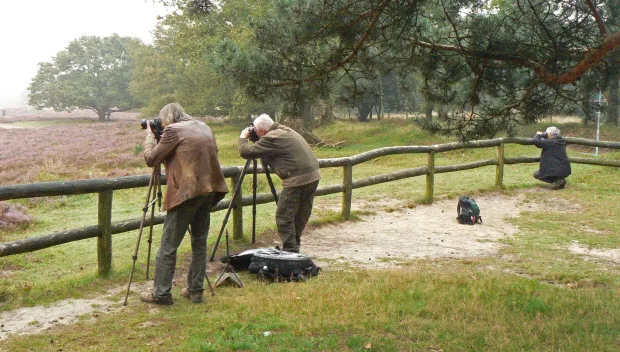 ceat2dwitzl7cmhagpj6nrkwk kiek de herfst