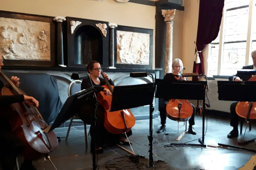 cellokwartet wiriavier