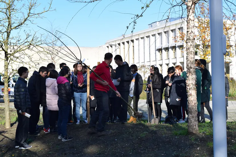 chinese studenten leren bij aeres mbo velp