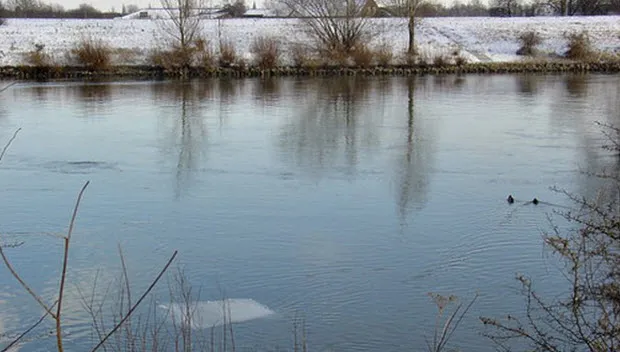 cpd0in6ruq0e39achtdgx41d8 vorst