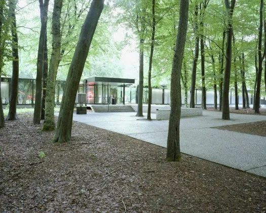 cpilircllk850shqiuyf7o3e3 215155