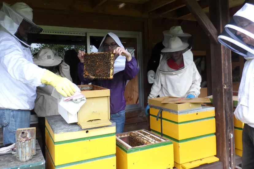 ct5ccpfbjf3qxxi9xlwte54za sam2503