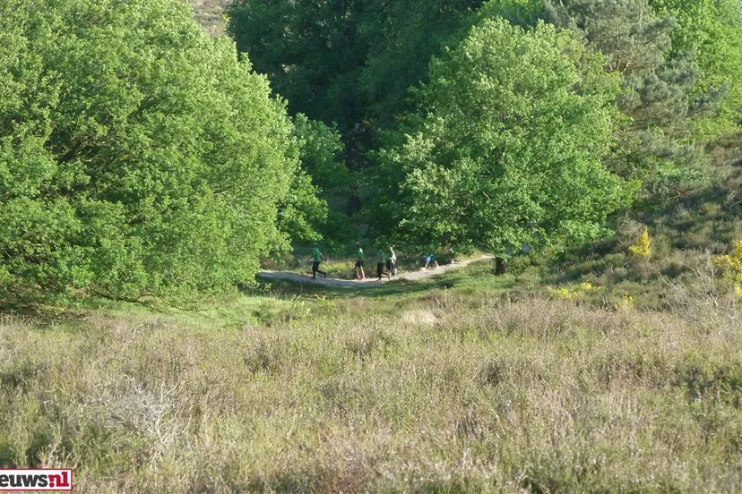 cuthca9ncjax34ic86akq5t0m rheden avondvierdaagse 20130610 6