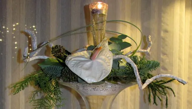 cx42ylm71eksme6gmhy5n03ff groei en bloei2