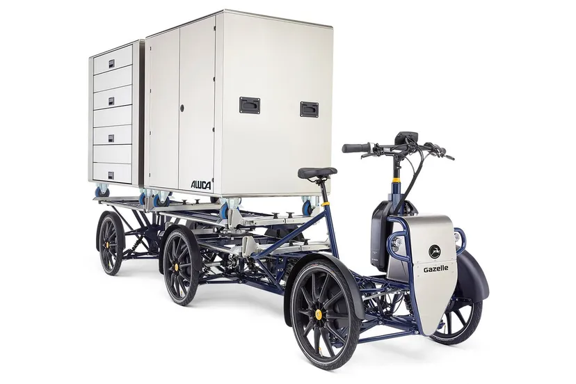 d10 e cargo gazelle dieren