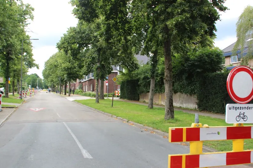 daalhuizerweg velp aanplant lindebomen1