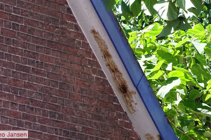 dakbrandje schoolstraat velp 30 6 18 5