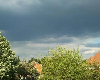 dddfci2nxm61csxhx0ll3x365 152275