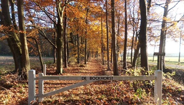de bockhorst spankeren
