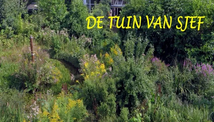 de tuin van sjef