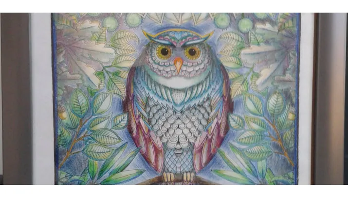 de uil angelique krijnen