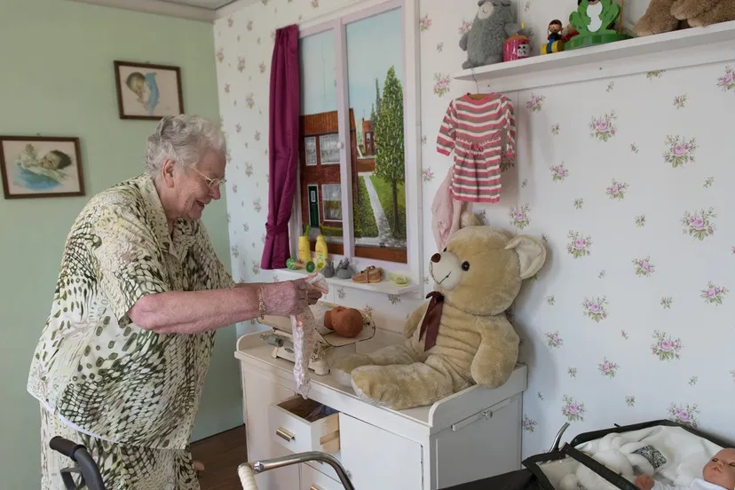 dementheek het breinplein lorentzhuis innoforte velp