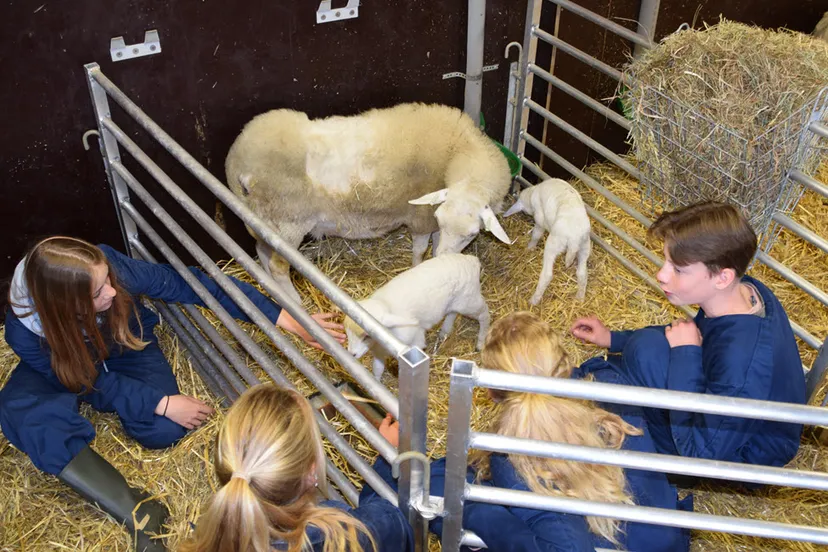 demi cleo isabelle en siebe op kraamvisite tijdens de les aeres