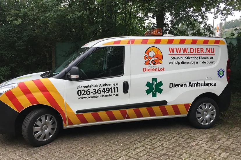 dierenambulance dierentehuis arnhem en omstreken