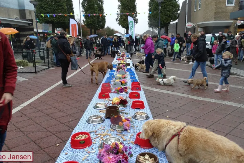 dierenbuffet 07 10 2017 dieren 6