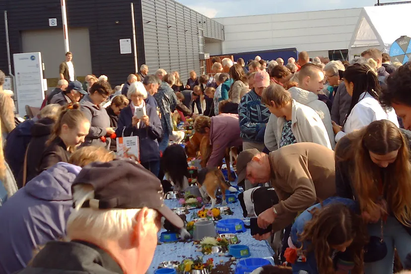 dierenmetdieren buffet 2019 23