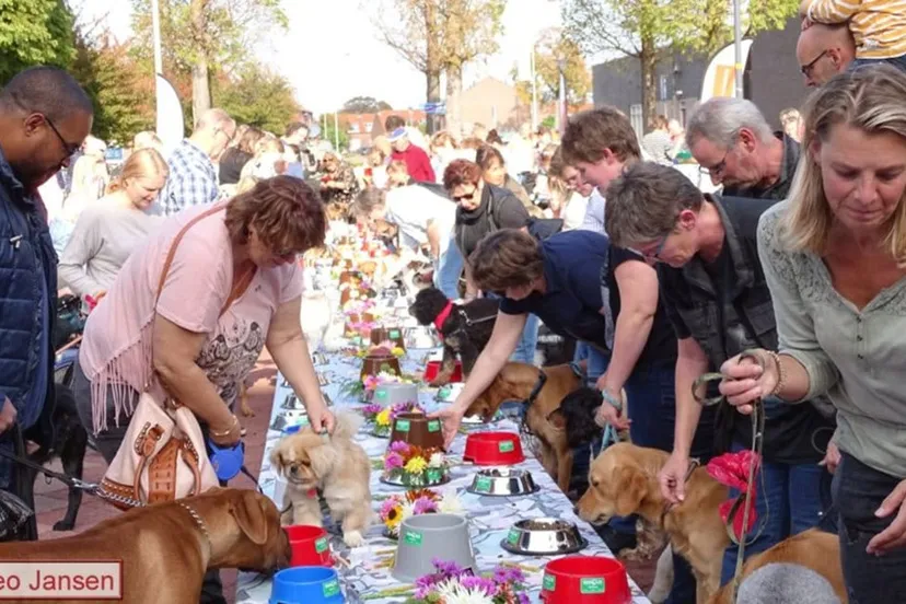 dierenmetdieren buffet rhedennieuwsnl