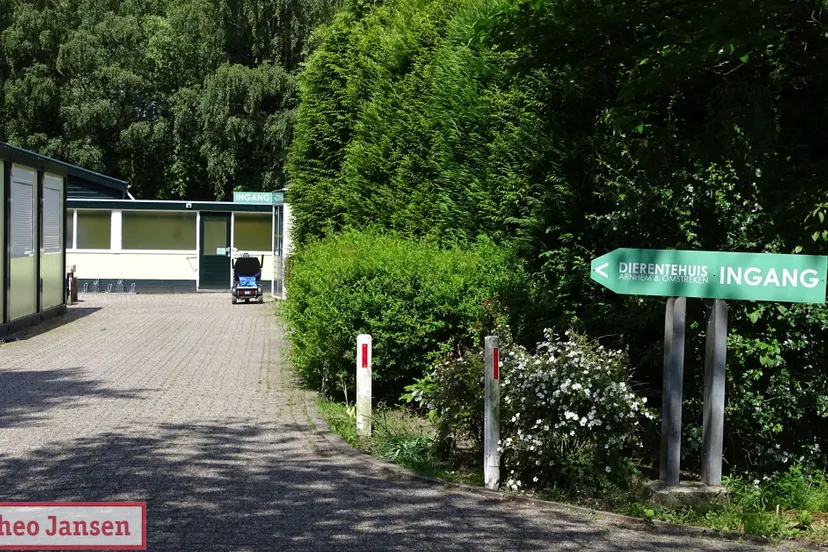 dierentehuis arnhem en omstreken 1