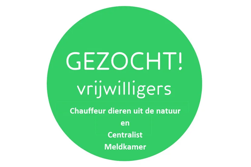 dierentehuis arnhem en omstreken vacatures1