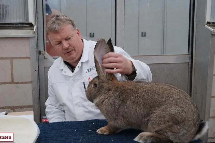 dkyfoykeo7lkbrd1iidcir9cn raskonijn