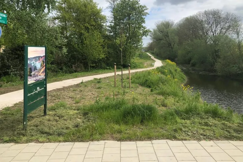 dorpsschouw rhedens dorpsbelang 2023 zuidflank