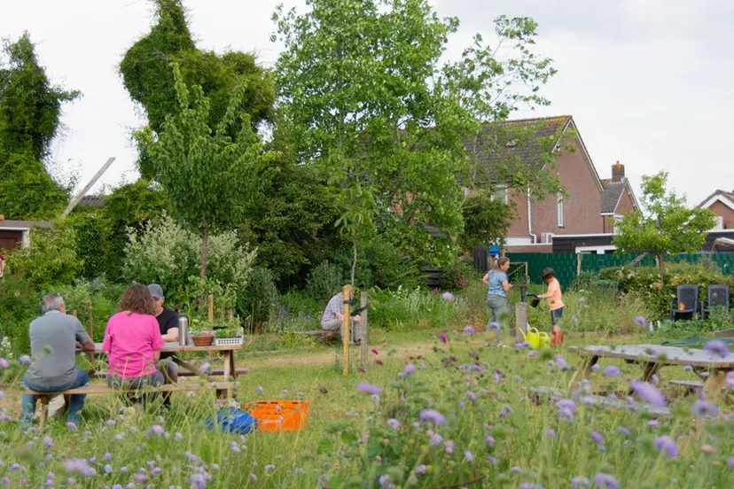 dorpstuin foto rietta veldhuis