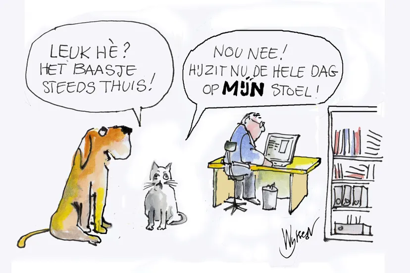 drie maanden thuis ons raadhuis