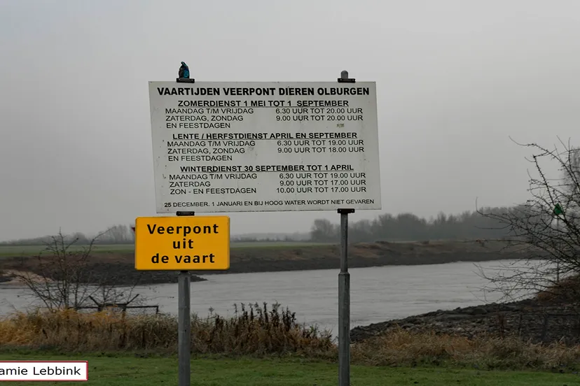 dsc4182jamielebbinka7iijla77