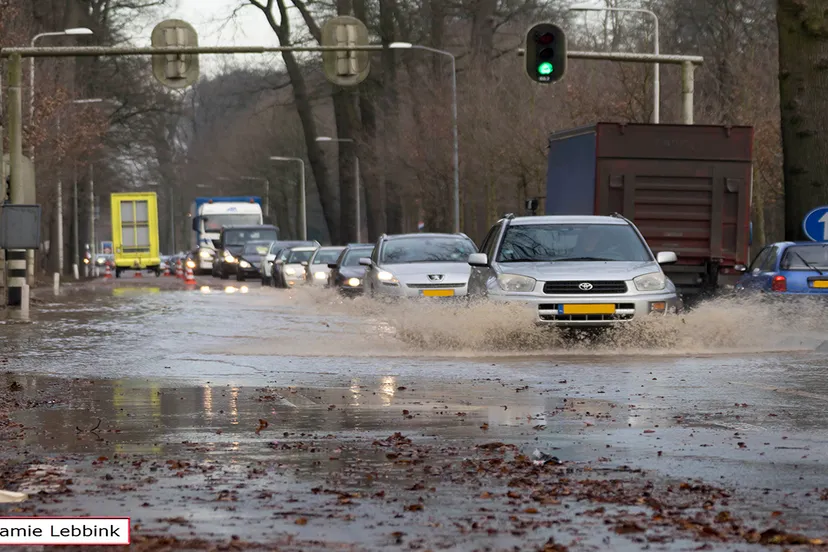 dsc5024jamielebbinka7iijla77