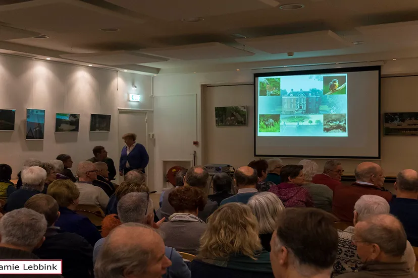 dsc5527jamielebbinka7iijla77