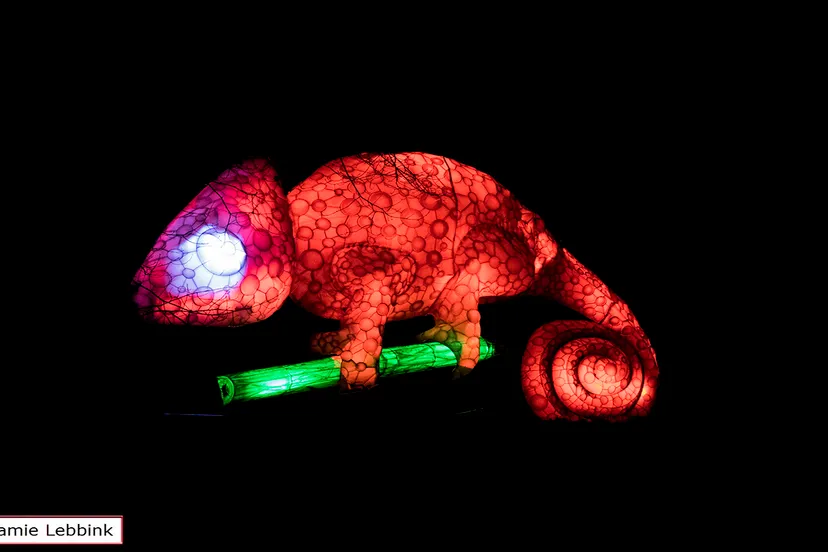 dsc5867jamielebbinka7iijla77