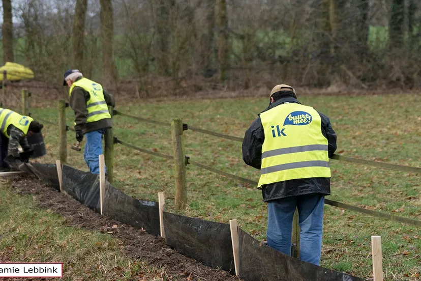 dsc6016jamielebbinka7iijla77