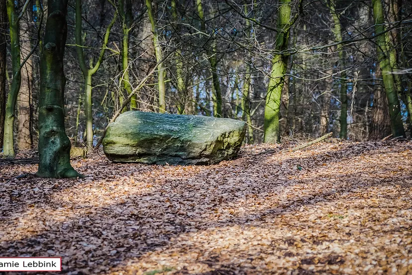 dsc6420jamielebbinka7iijla77