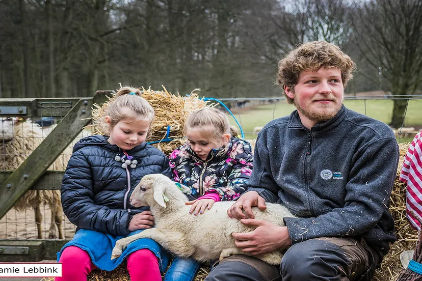 dsc6510jamielebbinka7iijla77