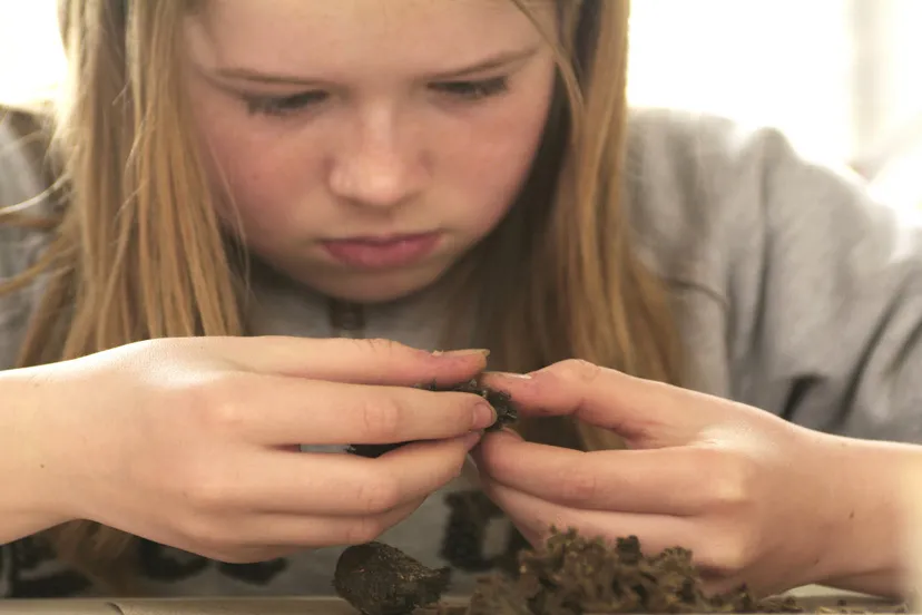 e3x3aij9xwrrp160h5ypiehjc braakballen pluizen2marc beenen