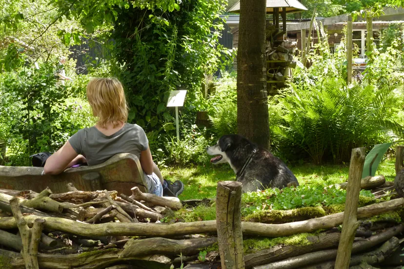 e7vcn23f3k3ksamgng1xp1lnv poziemiddag in de ivn tuin