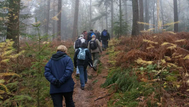 ee0ry1kijxzp8j2q55lu9cekl ivn bos bij rozendaal