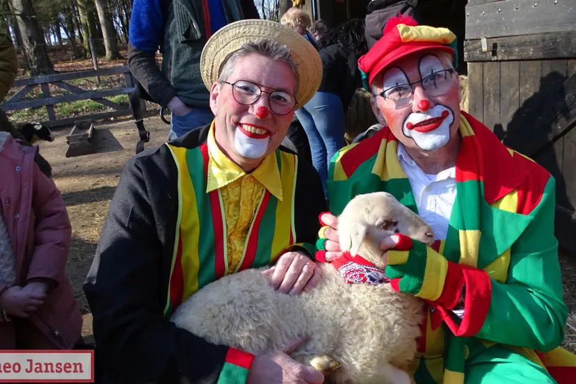 eerste lammetje rhedense schaapskudde geadopteerd door max en sjappie 2023 12