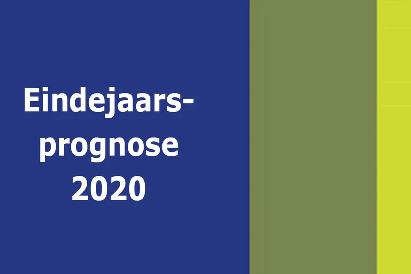 eindejaarsprognose gemeente rheden 2020