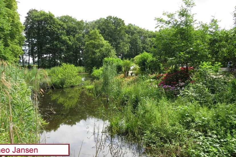 ejax639237rkh7otbpe9kdd5m biljoen 21 6 14 006